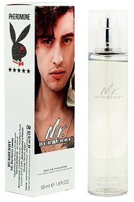 Духи с феромонами  55 ml Burberry Mr. Burberry edt Pour homme