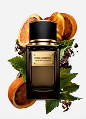 Дольче Габбана Velvet Blue Patchouli edp unisex 50 ml  (в подарочной упаковке) Дольче Габбана Velvet Blue Patchouli edp unisex 50 ml  (в подарочной упаковке)