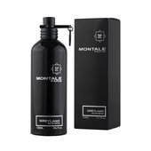 Montale Greyland Unisex 100 ml Montale Greyland Unisex 100 ml