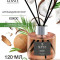 GLANCE Ароматический Диффузор COCONUT- КОКОС 120мл
