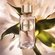 Lancome Absolue 6AM Rose for women 100 ml