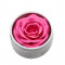 Пудра-румяна Хайлайтер Rosel Cosmetics Glazed Rose 6g R040