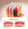 Помада для губ O.TWO.O Galaxy s Kiss Lipstick (арт. LE001) №09
