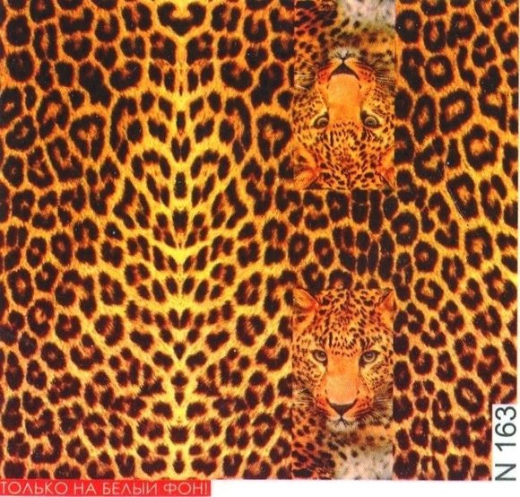 Слайдер дизайн Esmalte N 163