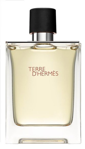 Hermes Terre D'Hermes edt for men 100 ml A Plus