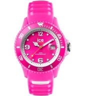 Часы наручные Ice Watch SUN.NPK.S.S.14